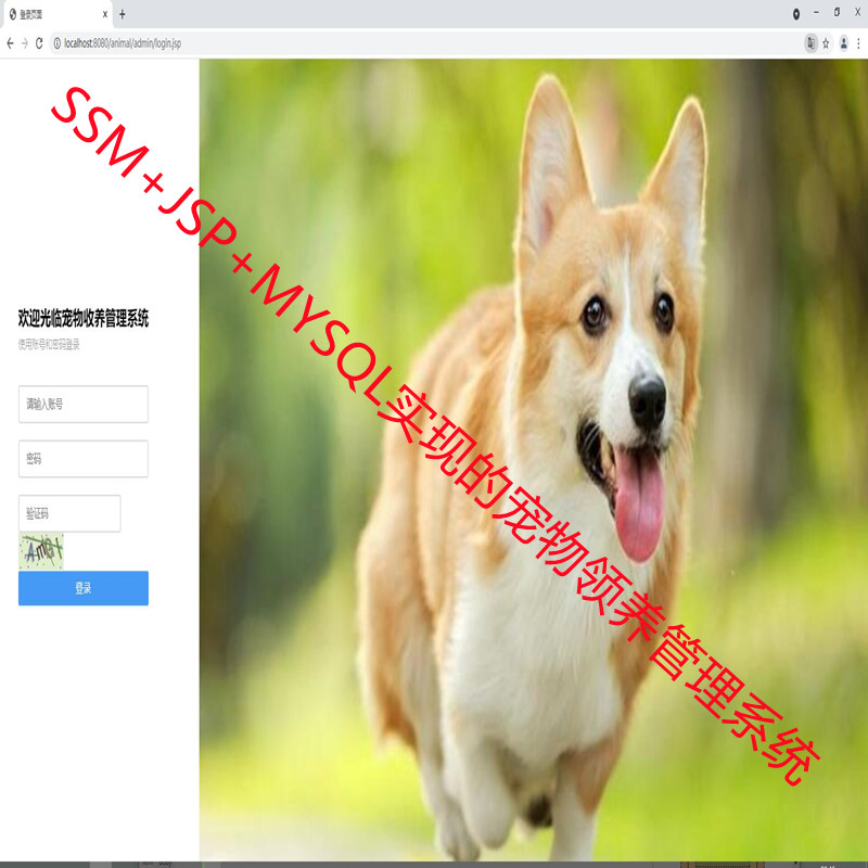 SSM+JSP+MYSQL实现的宠物领养收养管理系统源码附带运行指导视频